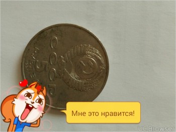 пять рублей - TMPDOODLE1497602440580.jpg