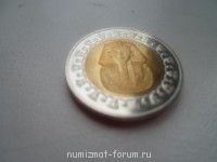 Египетский фунт - SAM_1012.JPG
