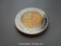 Египетский фунт - SAM_1011.JPG