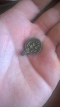 Подскажите по находке. - WP_20160322_005.jpg