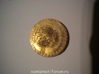 Находка - DSCN6037.JPG