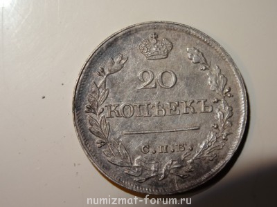 Помогите оценить - DSC00468.JPG