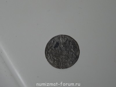 Помогите оценить - DSC00436.JPG